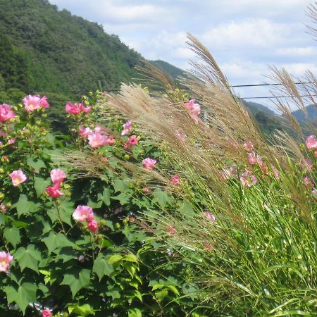 Japanese Style Inn Dohzen Miwa Niimi Zewnętrze zdjęcie