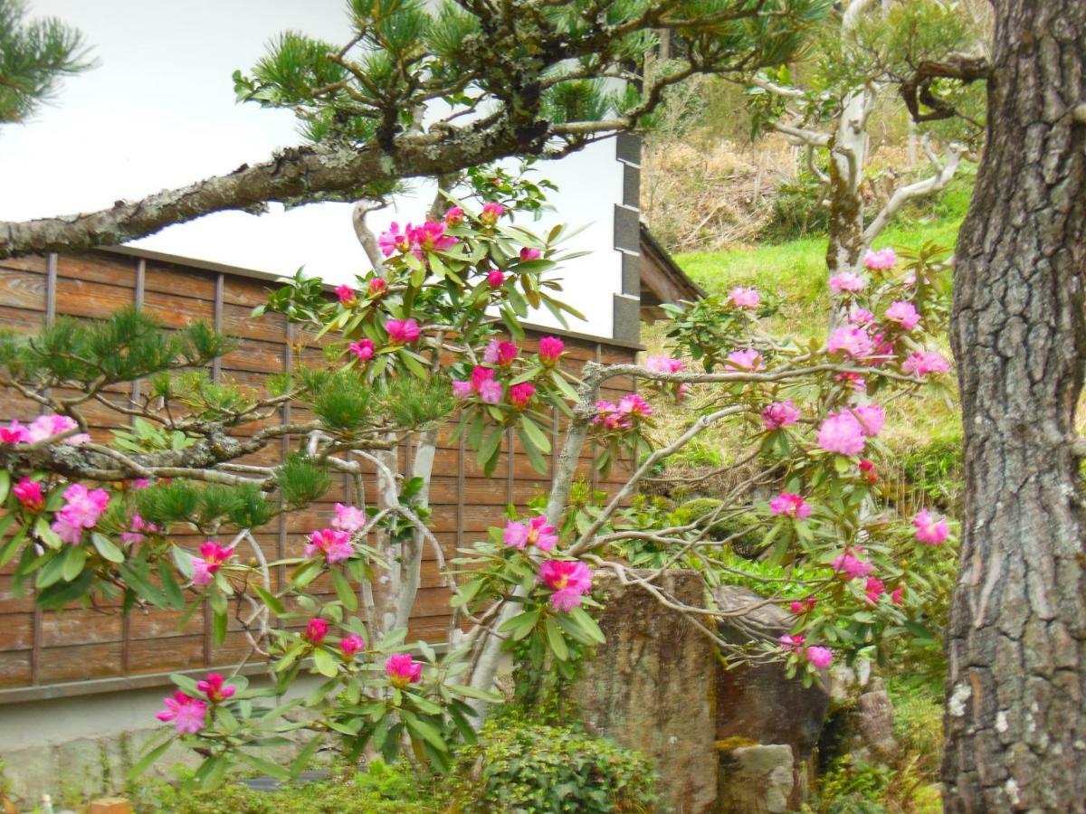 Japanese Style Inn Dohzen Miwa Niimi Zewnętrze zdjęcie
