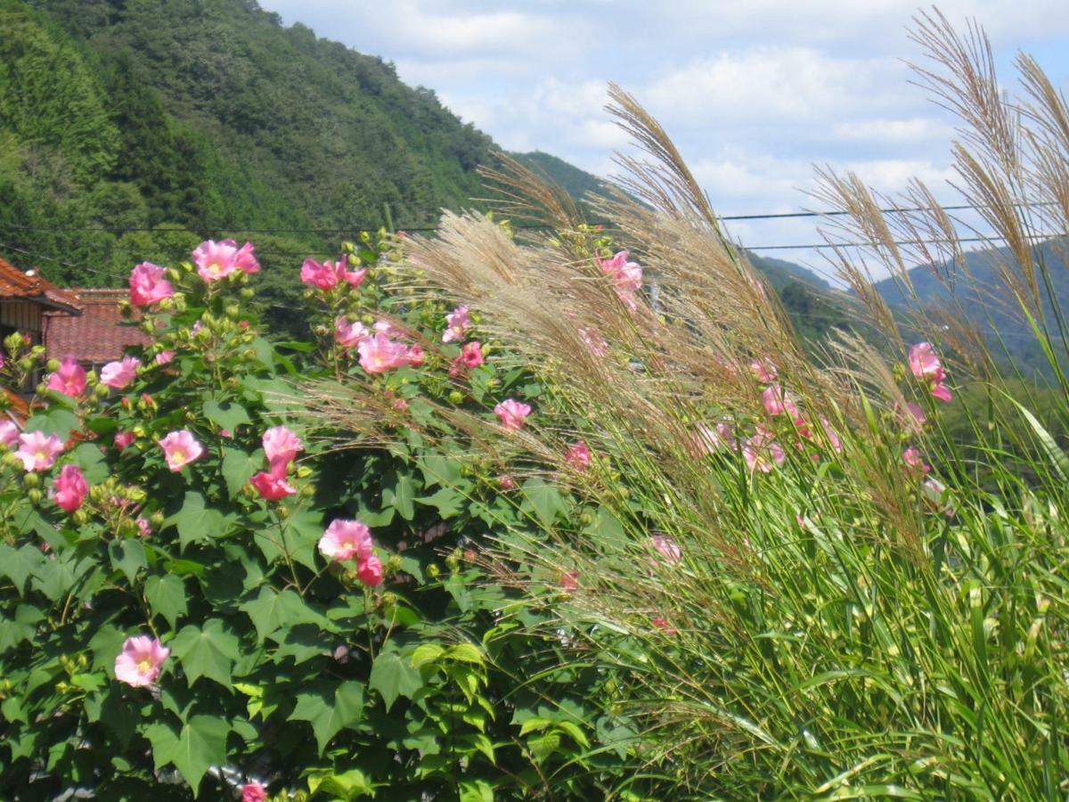 Japanese Style Inn Dohzen Miwa Niimi Zewnętrze zdjęcie